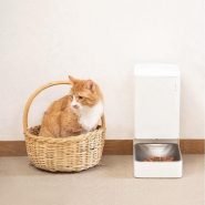 خرید New Xiaomi Smart Pet Feeder Cat Dog Remote Voice Control Automatic Feeding Regular Quantitative