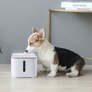 Xiaomi PETKIT 2L Electric Cat Dog Drinking Water Dispenser 2S Pet Water Fountain Automatic Water Feeder Square Drinker Bowl